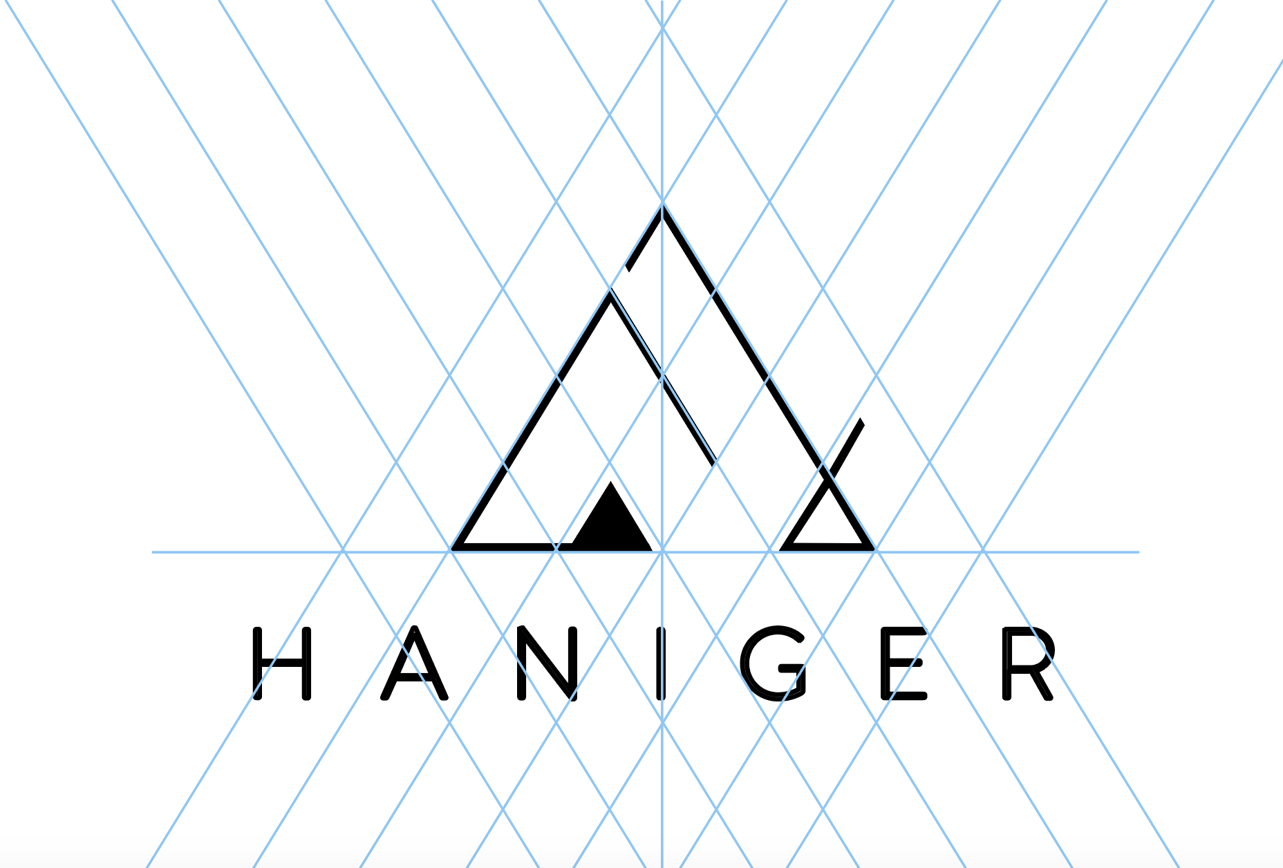 Haniger & Co Identity — 3